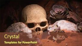  Presentation with dirt - Slide set having human-skull-on-the-dirt background and a tawny brown colored foreground