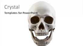 Presentation with jaw - Presentation theme consisting of human-skull-with-open-jaw background and a white colored foreground