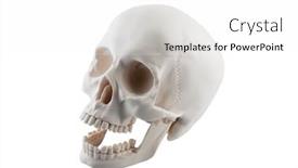  Presentation with jaw - Presentation design enhanced with human-skull-with-open-jaw background and a white colored foreground