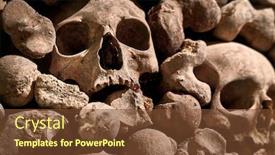  Presentation with human - PPT layouts enhanced with human-skulls-and-bones-forming background and a tawny brown colored foreground