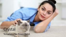  Presentation with cute cat and dog - Colorful PPT theme enhanced with human strokes - cute beautiful cat with owner backdrop and a coral colored foreground
