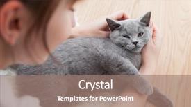  Presentation with stroke - Audience pleasing slides consisting of human strokes - woman stroke her car backdrop and a coral colored foreground