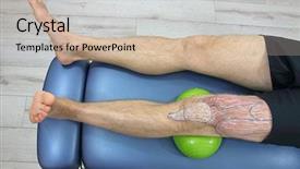  Presentation with leg anatomy - Colorful presentation design enhanced with human upper leg anatomy - sketch backdrop and a soft green colored foreground