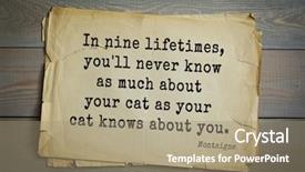  Presentation with philosopher - Slide deck having humanistic - top-100 french writer and philosopher background and a coral colored foreground