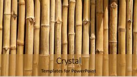  Presentation with bamboo - Cool new slide deck with humans for housing furniture backdrop and a gold colored foreground