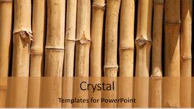  Presentation with bamboo - PPT theme enhanced with humans for housing furniture background and a gold colored foreground