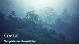  Presentation with hawaii - Slides having humid - jungle in hawaii background and a ocean colored foreground