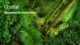  Presentation with negara - Cool new slide deck with humid - tropical rainforest view from top backdrop and a tawny brown colored foreground