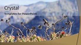  Presentation with blue green - Cool new slides with humming bird - green and blue hummingbird backdrop and a  colored foreground