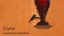  Presentation with flight invetors - Colorful PPT layouts enhanced with close up of raw pasta alphabet forming word pasta backdrop and a cream colored foreground