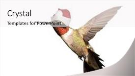  Presentation with white christmas - Presentation consisting of hummingbird with santa hat celebrating background and a white colored foreground