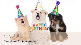  Presentation with happy birthday cake - Presentation design featuring humorous-puppies-singing-happy-birthday background and a lemonade colored foreground