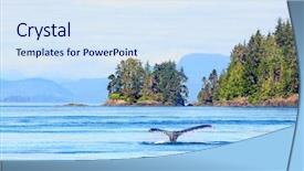  Presentation with whale - Cool new PPT theme with humpback whale near vancouver island backdrop and a sky blue colored foreground