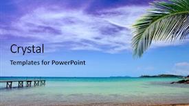  Presentation with beach palm tree wedding - PPT layouts featuring hunduras - palm tree on beach background and a  colored foreground