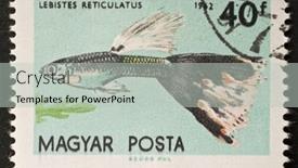  Presentation with freshwater aquarium - Audience pleasing presentation theme consisting of hungary-circa-1962-a-stamp backdrop and a light gray colored foreground