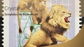  Presentation with lions - 