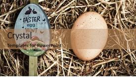  Presentation with sperm fertilizes egg - Beautiful slide deck featuring hunt sign against egg nestle backdrop and a coral colored foreground