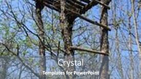  Presentation with hunting - Colorful slide deck enhanced with hunting ambushing on the forest in crimea backdrop and a seafoam green colored foreground