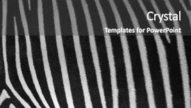 Presentation with black 3d plastic print texture - Slide deck having zebra texture and pattern black background and a dark gray colored foreground