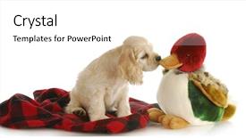  Presentation with duck hunting - PPT theme enhanced with senior tourist couple hiking at the beautiful mountains background and a light gray colored foreground