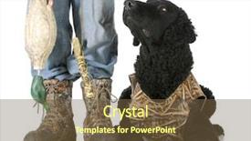  Presentation with duck hunting - Presentation featuring hunting dog - curly coated retriever background and a tawny brown colored foreground