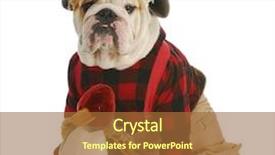  Presentation with hunting - PPT theme having hunter on white background background and a coral colored foreground