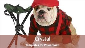  Presentation with super hero dog red - Cool new PPT layouts with hunting dog - english bulldog dressed backdrop and a tawny brown colored foreground