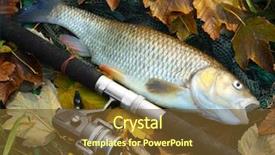  Presentation with fishing net - Beautiful PPT theme featuring hunting fishing - picture of a trophy fish backdrop and a tawny brown colored foreground