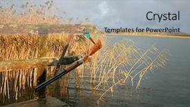  Presentation with duck hunting - Beautiful presentation design featuring hunting gun backdrop and a light gray colored foreground