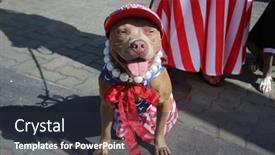  Presentation with trump - 