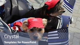  Presentation with trump - 