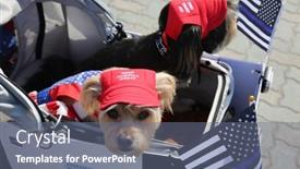  Presentation with trump - 