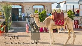  Presentation with bus station - 