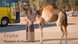  Presentation with bus station - 