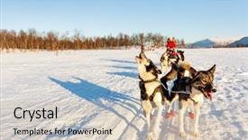 Presentation with dog sled - Presentation having husky dogs are pulling sledge background and a soft green colored foreground