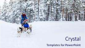  Presentation with dog sled - Colorful PPT theme enhanced with husky dogs are pulling sledge backdrop and a sky blue colored foreground