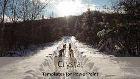  Presentation with husky - Audience pleasing presentation consisting of husky-dogs-pulling-sledge backdrop and a mint green colored foreground