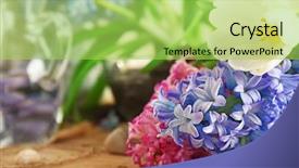  Presentation with tulip - Cool new slides with hyacinth-and-tulip-closeup backdrop and a yellow colored foreground