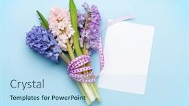  Presentation with greeting card - Colorful slide set enhanced with hyacinth-flowers-bouquet-easter-greeting backdrop and a sky blue colored foreground