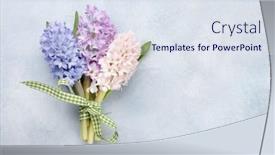  Presentation with white easter lily flowers - Beautiful slides featuring hyacinth-flowers-bouquet-easter-greeting backdrop and a sky blue colored foreground