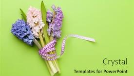  Presentation with greeting card - PPT theme enhanced with hyacinth-flowers-bouquet-on-green background and a yellow colored foreground