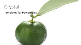  Presentation with hybrid bus - Presentation theme having hybrid-kumquat-tangerine-isolated background and a white colored foreground