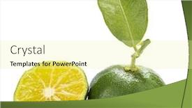  Presentation with hybrid electric vehicle - Slide set consisting of hybrid-kumquat-tangerine-with-slice background and a blonde colored foreground