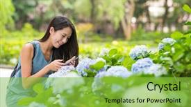  Presentation with mobile use - PPT layouts having hydrangea flower in the garden background and a yellow colored foreground