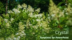  Presentation with hydrangea - Slides featuring hydrangea-flower-in-the-garden background and a tawny brown colored foreground