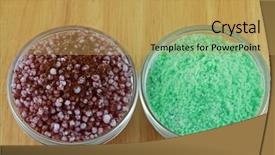  Presentation with nutrients - Cool new PPT theme with hydroponic nutrients to be mixed backdrop and a  colored foreground