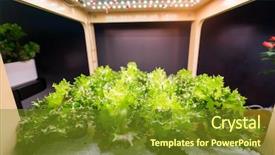  Presentation with hydroponic farm - PPT theme enhanced with hydroponic vegetable grow with led background and a tawny brown colored foreground