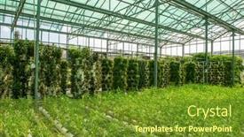  Presentation with water pipes - Amazing theme having hydroponic-vegetable-plantation-system backdrop and a tawny brown colored foreground