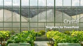  Presentation with water pipes - Theme with hydroponic-vegetable-plantation-system background and a seafoam green colored foreground