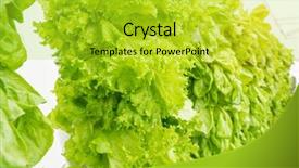  Presentation with water pipes - Audience pleasing presentation consisting of vegetable plantation system of water backdrop and a yellow colored foreground